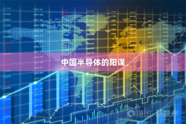 中国半导体的阳谋