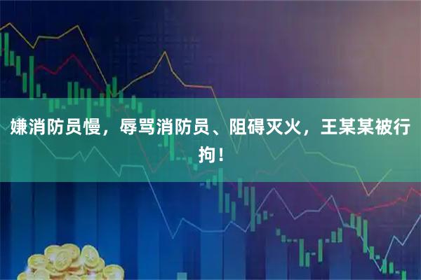 嫌消防员慢，辱骂消防员、阻碍灭火，王某某被行拘！