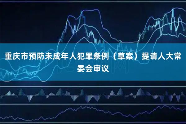 重庆市预防未成年人犯罪条例(草案)提请人大常委会审议