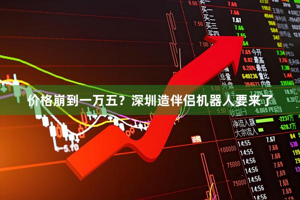 价格崩到一万五？深圳造伴侣机器人要来了