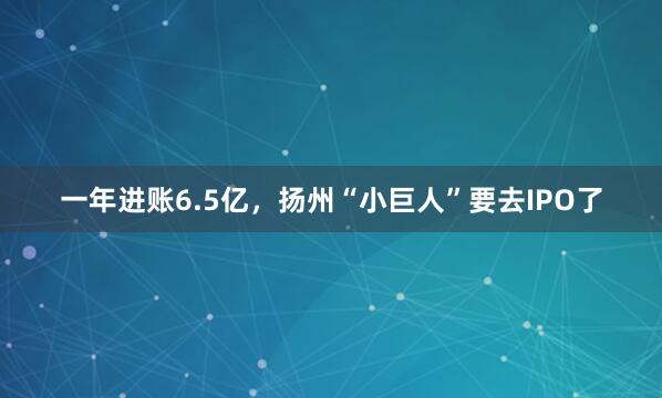 一年进账6.5亿，扬州“小巨人”要去IPO了