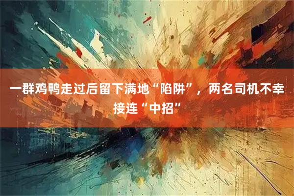 一群鸡鸭走过后留下满地“陷阱”，两名司机不幸接连“中招”
